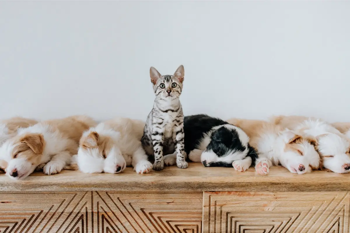 stand out and be different