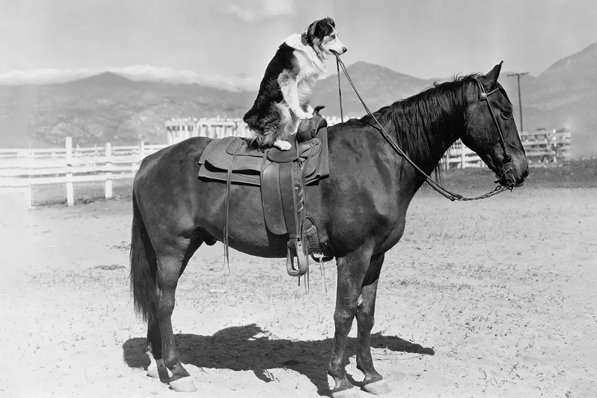 unconventional styles help you stand out