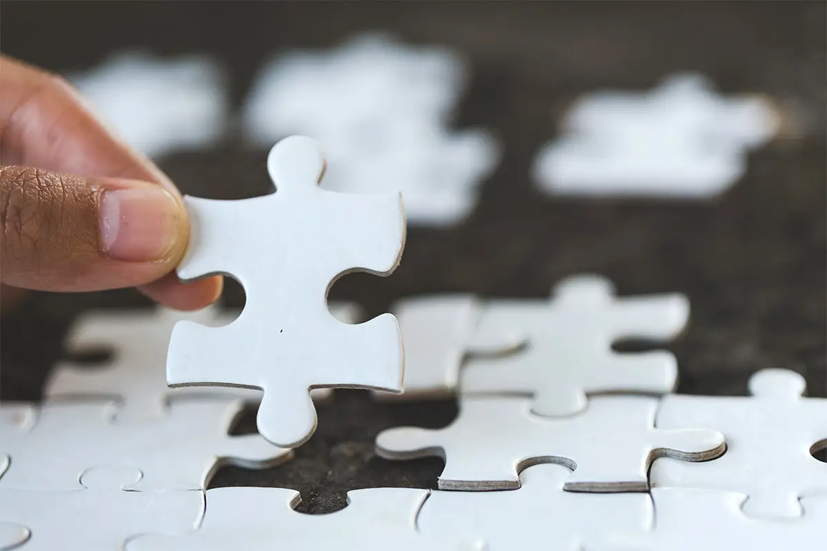 put the puzzle pieces together